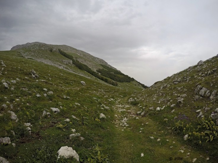 DCIM100GOPROGOPR0337.