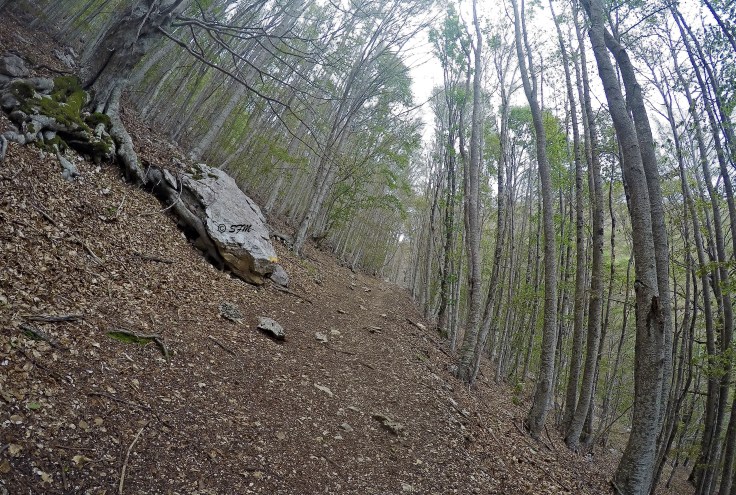 DCIM100GOPROGOPR0471.